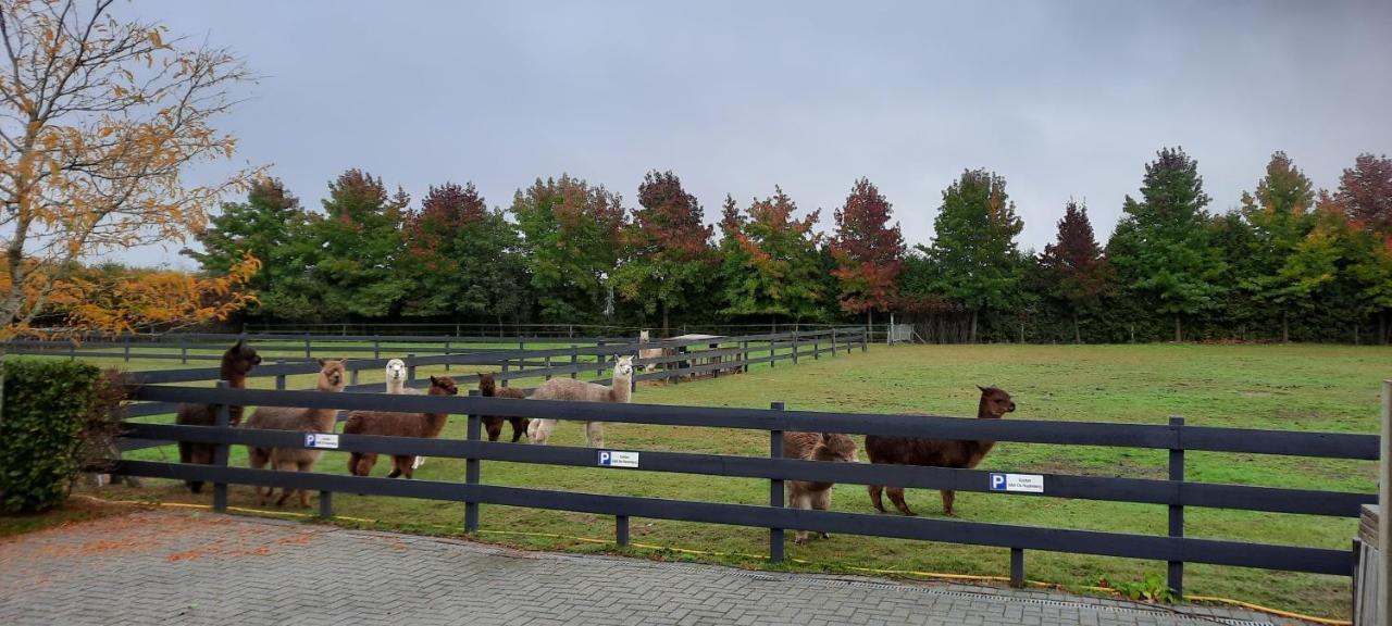 B&B De Raamberg Zundert エクステリア 写真