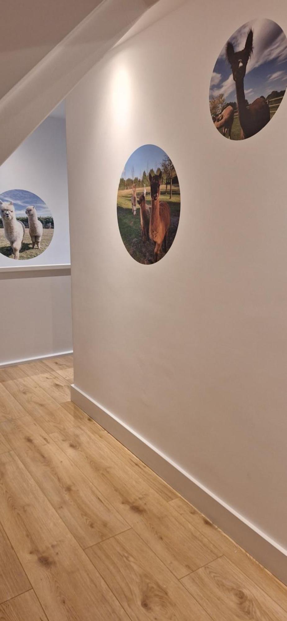 B&B De Raamberg Zundert エクステリア 写真