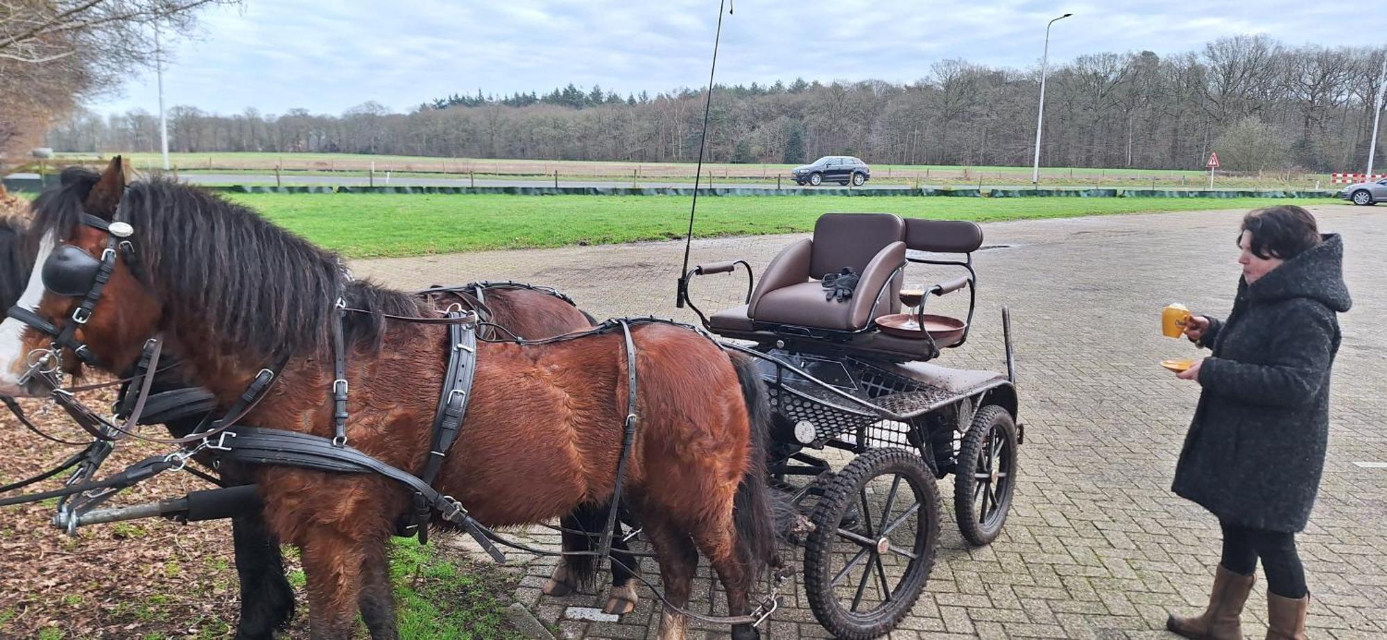 B&B De Raamberg Zundert エクステリア 写真